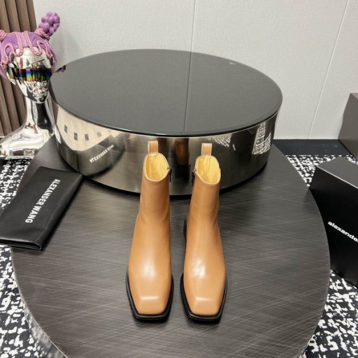 Alexander Wang Femei Throttie Glezna Cizme Bej